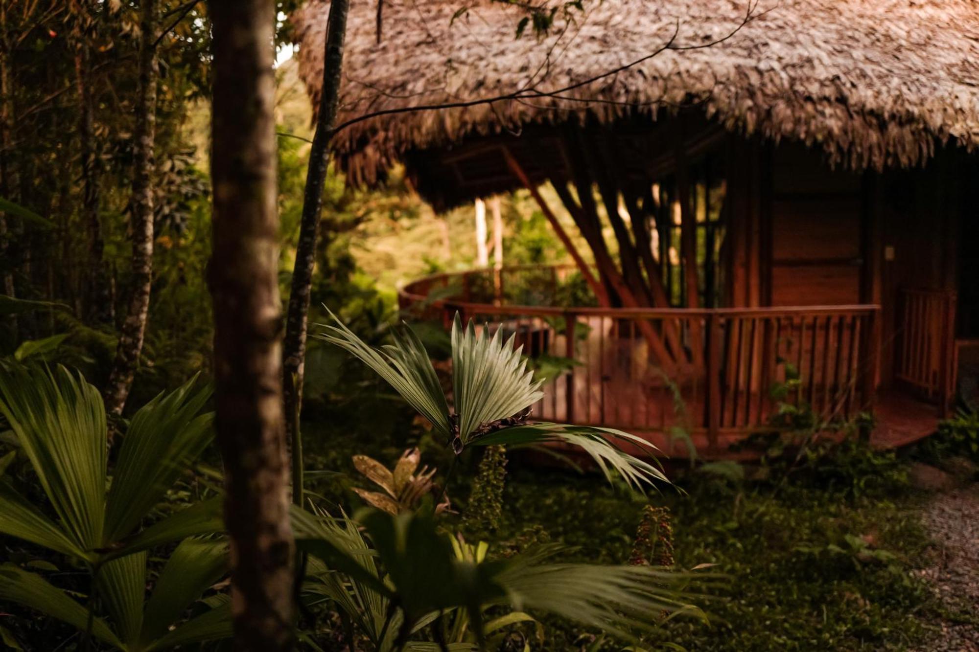 Bosque Guardian Lodge Tarapoto Exterior photo