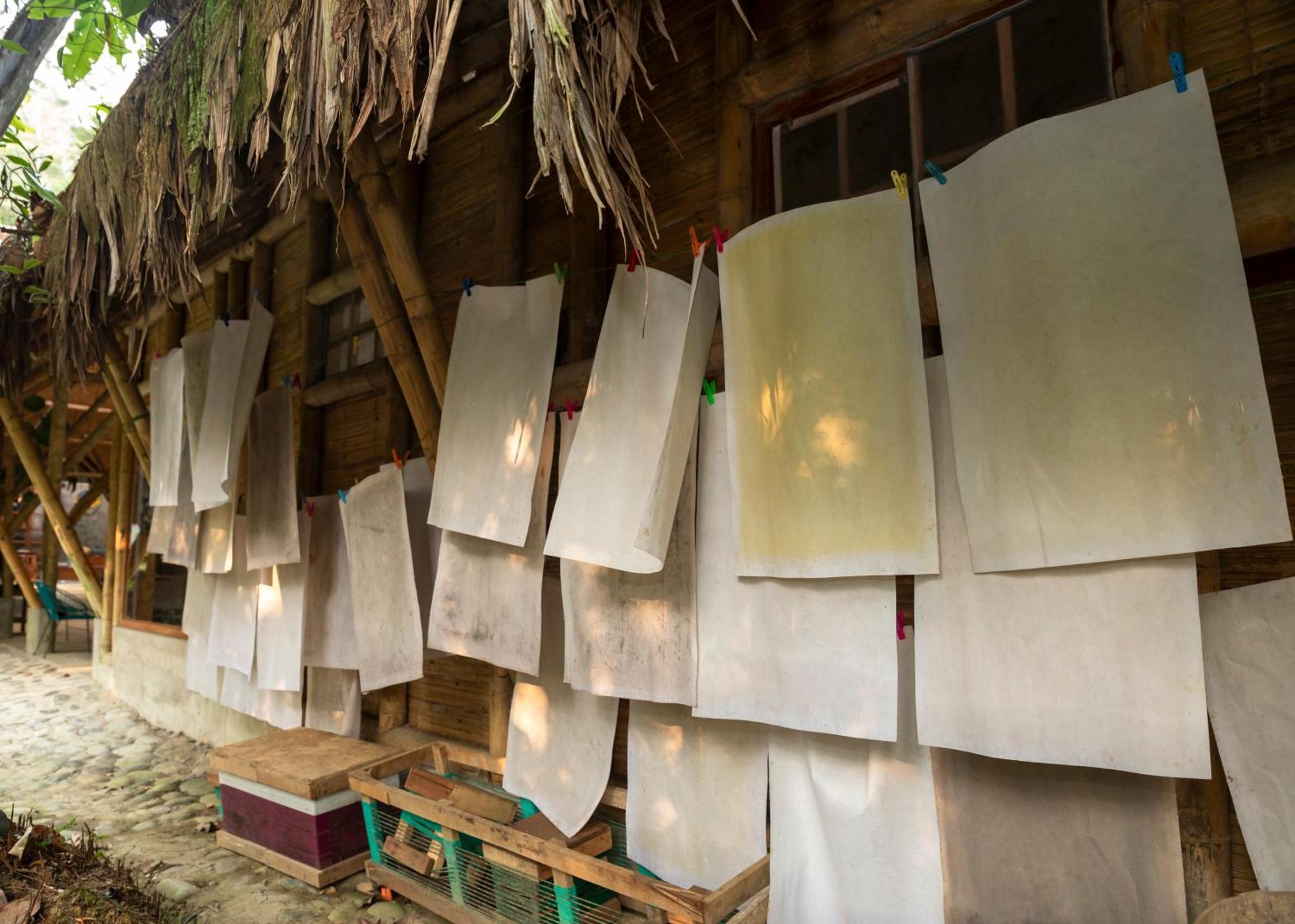 Bosque Guardian Lodge Tarapoto Exterior photo