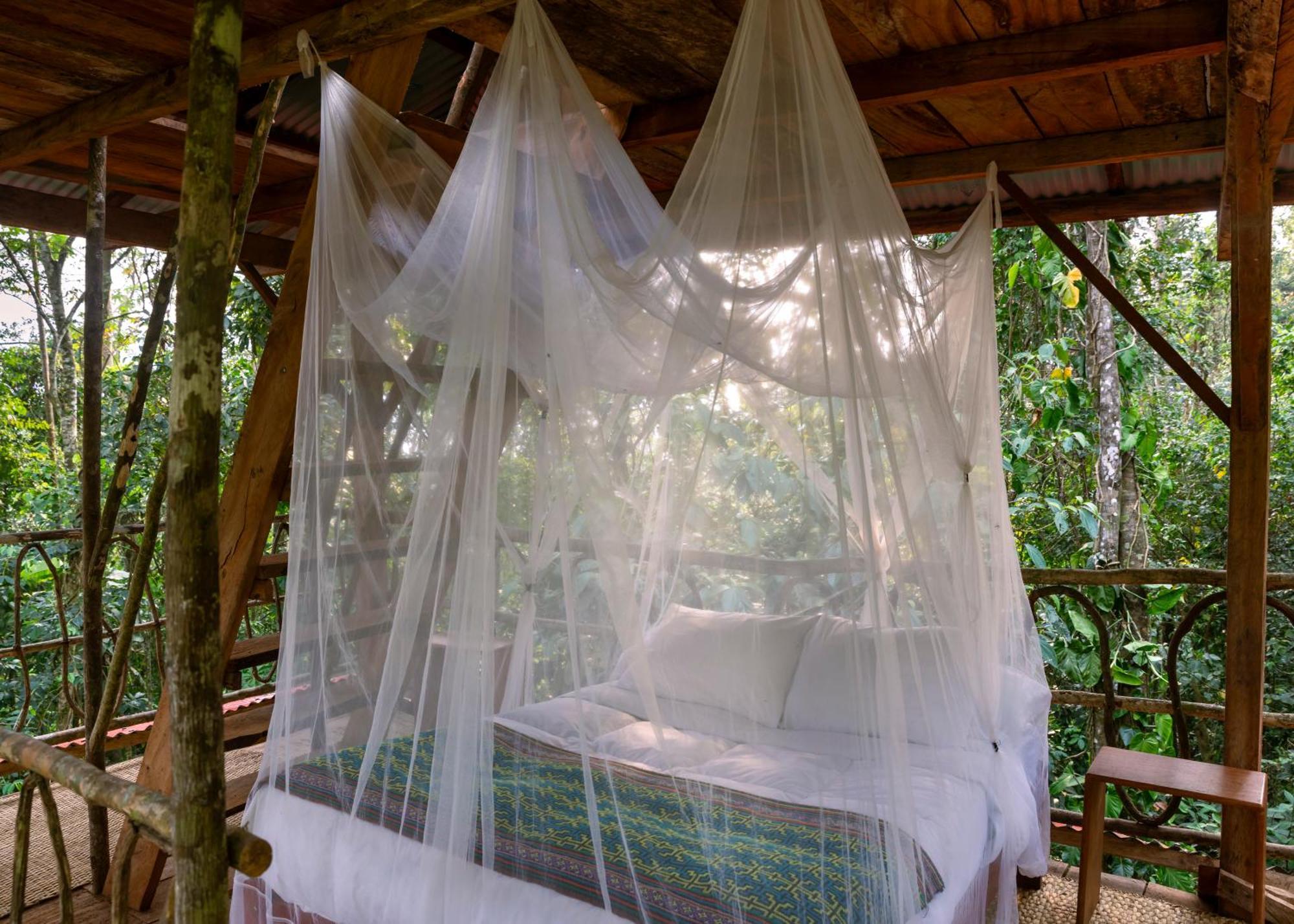 Bosque Guardian Lodge Tarapoto Exterior photo