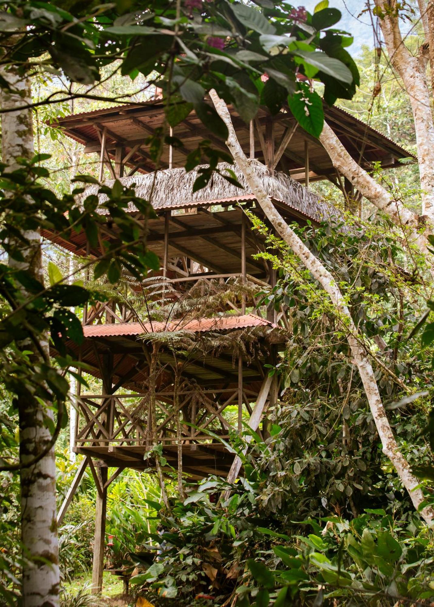 Bosque Guardian Lodge Tarapoto Exterior photo